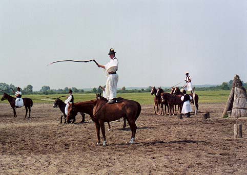 ボヘミア・ハンガリー旅行日程(2001)