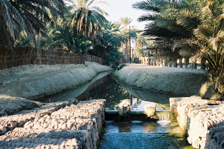 チュニジア旅行日程（06-07)