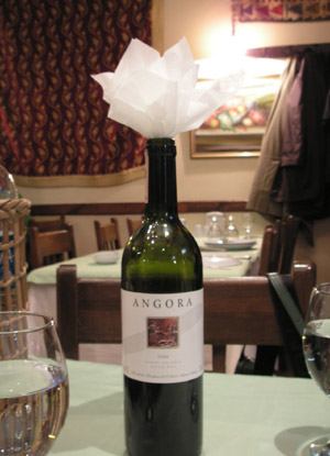 イスタンブールほか旅行日程（07～08冬）