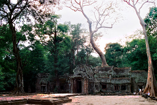 ホーチミンとアンコールワット　2008～2009