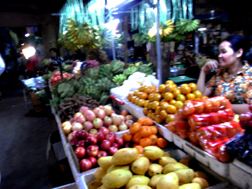 ホーチミンとアンコールワット　2008～2009