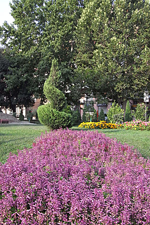 コーカサスの旅（アゼルバイジャン、グルジア、アルメニア）