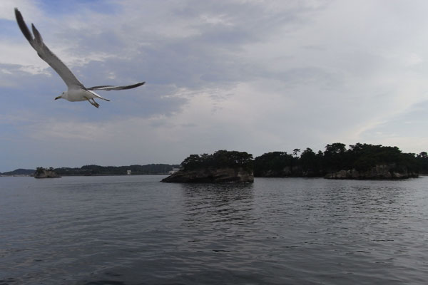 東日本大震災４カ月後の記録