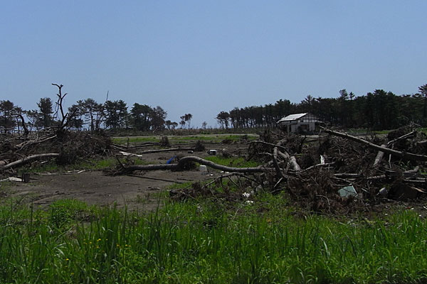 東日本大震災４カ月後の記録