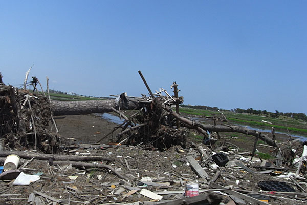 東日本大震災４カ月後の記録