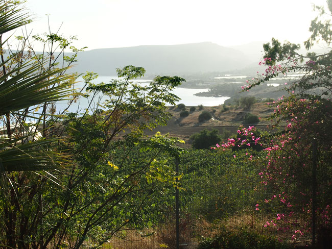 イスラエル旅行日程