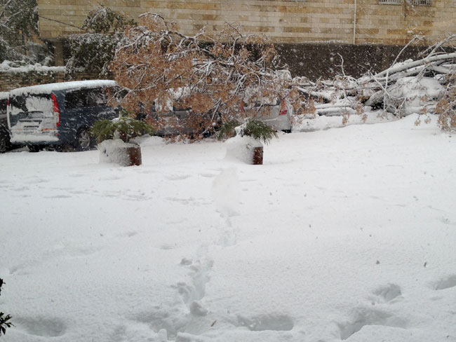 イスラエル旅行日程