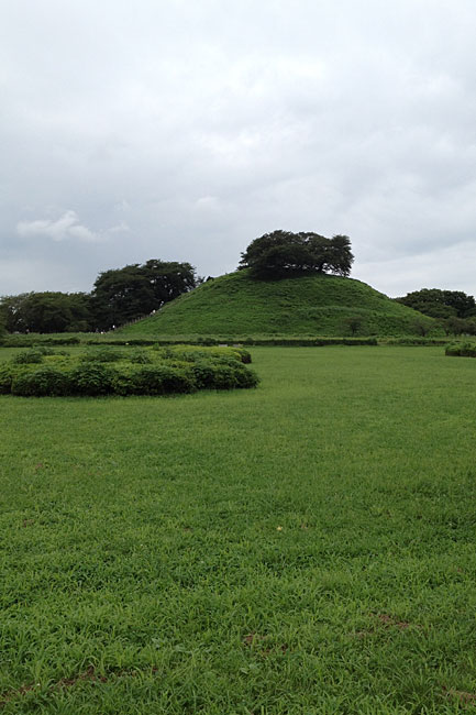 さきたま古墳群～氷川神社～川越城本丸御殿