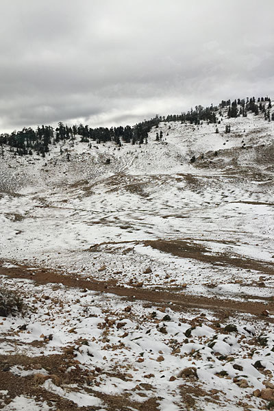 モロッコ旅行日程(19)