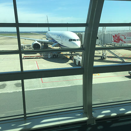 八重山旅行2015(1)