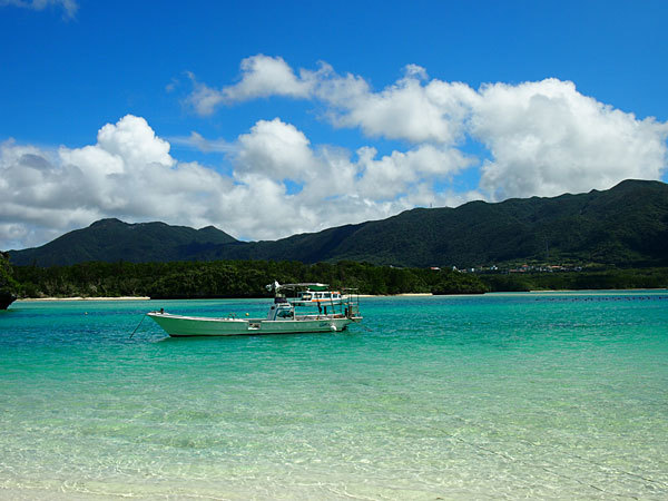 八重山旅行2015(10)