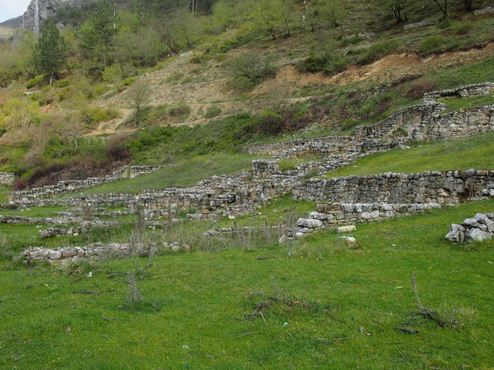 セルビア（１）