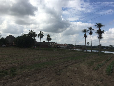 キューバ（２）