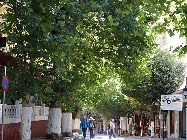 ７日目（Spain_2018_9)