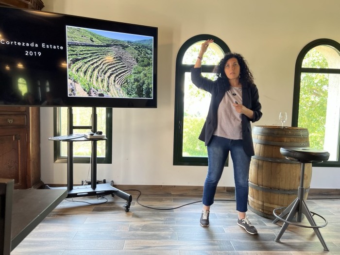 シル渓谷（スペイン、ガリシア地方の秘境、リベイラ・サクラ）の観光（その5)