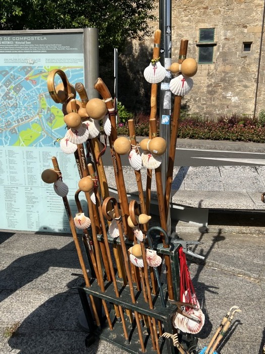 サンティアゴ・デ・コンポステーラ→ポンテ・ビドラ→パラドール・デ・バイオナ（その１）