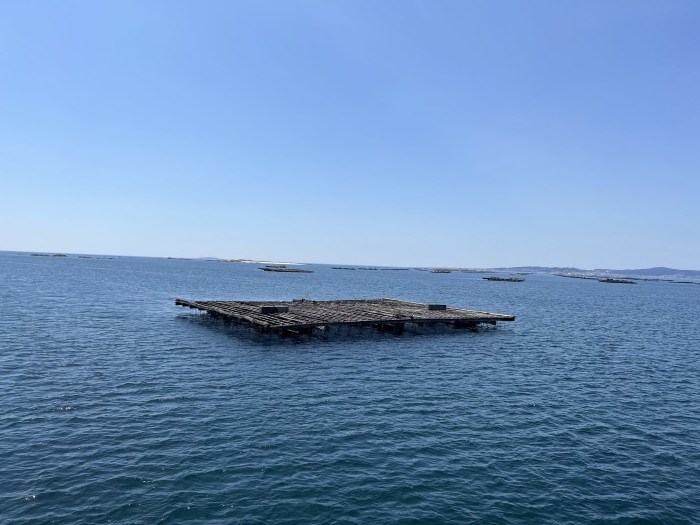 パラドール・デ・バイオナ→コンバーロ→ラ・トーハ島→オ・グローベ(アロウサ湾クルージング)（その4）