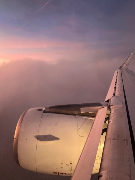 たちよりフランクフルト（１）