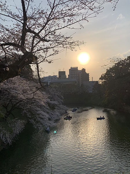 Chidorigafuchi 2019